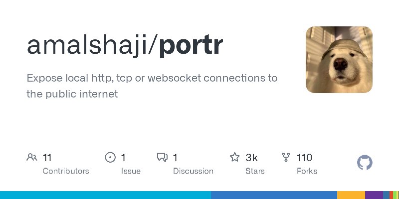 GitHub - amalshaji/portr: Expose local http, tcp or websocket connections to the public internet