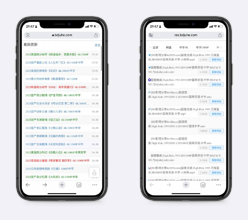 一个很牛的影视下载站资源很全，很多新剧都有，支持百度、迅雷、夸克、磁力等多种下载方式，很好用～